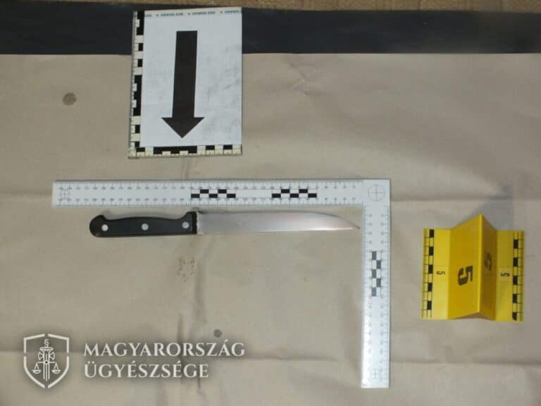 elkövetési eszköz - kés