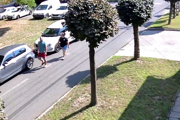 autórongáló páros