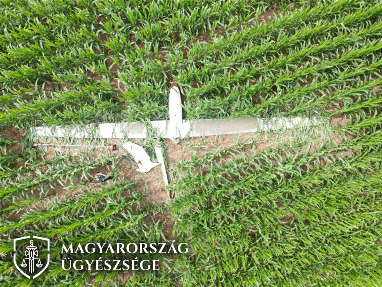 sértett repülőgépe