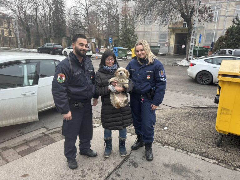 Fürge a gazdival és a rendőrökkel