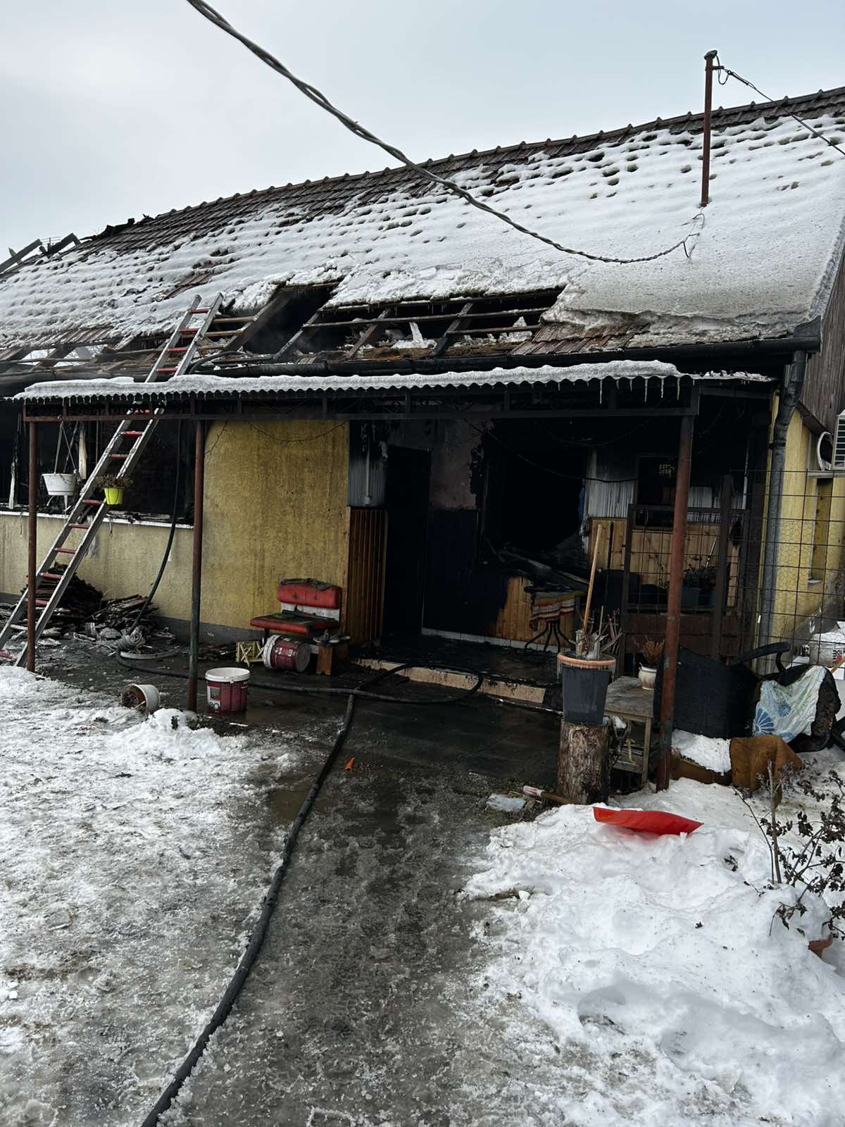 Halálos tűz Monorierdőn