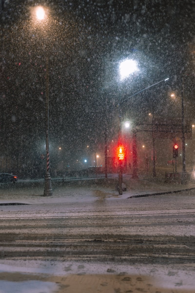 Traffic light glows red during a heavy snowfall at night.