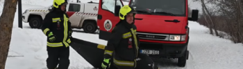 kutya mentésére érkezett tűzoltók