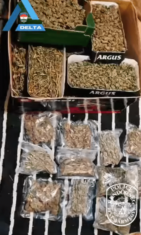 Drogfarm Délegyházán: több mint 8 kiló füvet foglaltak le a zsaruk