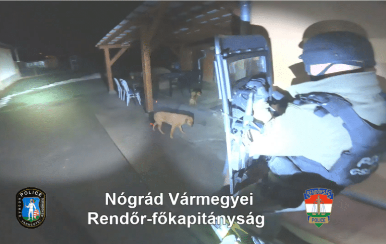 pásztói rendőrök