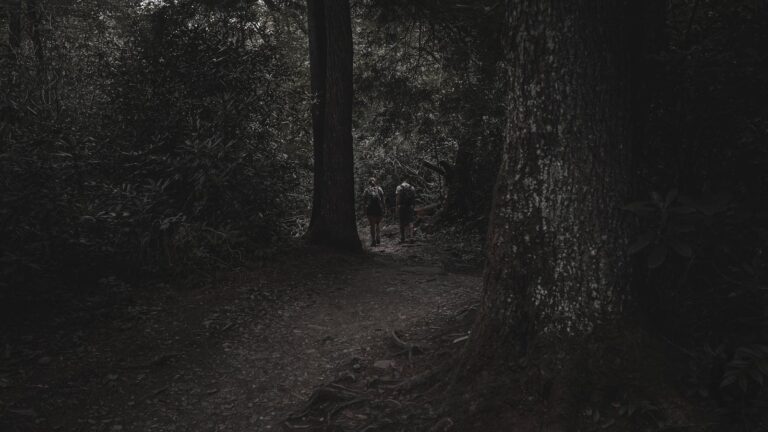 Two hikers navigate a dark forest trail in Tennessee, capturing a sense of adventure and mystery.