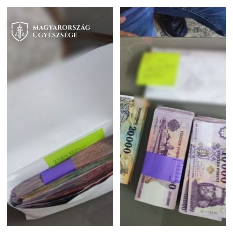 budaörsi nőtől lefoglalt készpénz