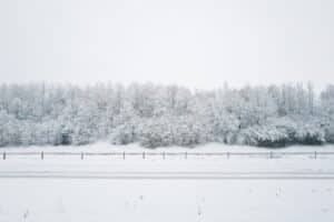 a snow covered field with trees in the background