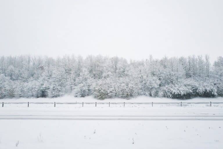 a snow covered field with trees in the background