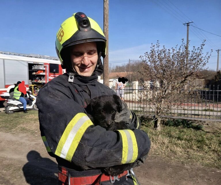 kutyamentés Szabolcsban