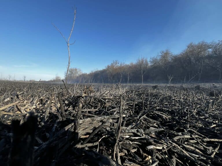 Tíz hektár égett le Fegyverneknél