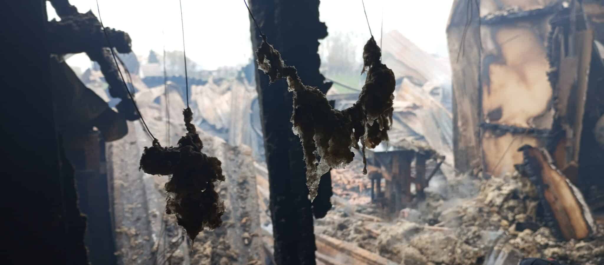 Tűz keletkezett egy asztalosműhelyben Gyulán