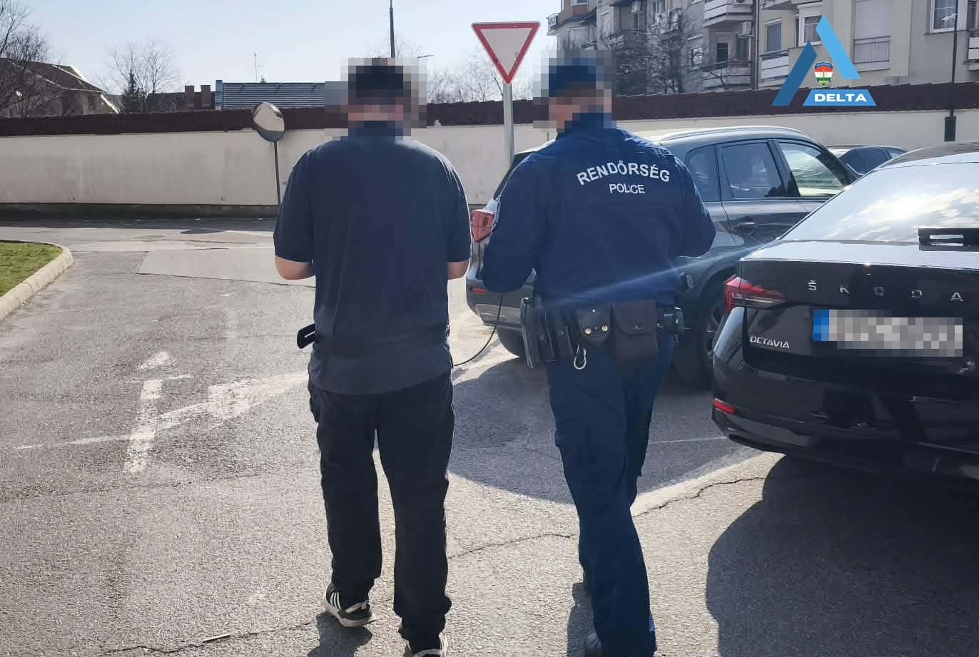 görkorcsolyás díler