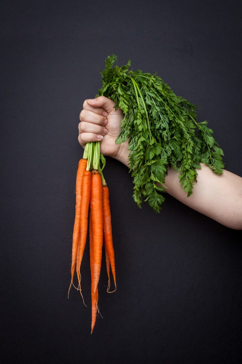person holding carrots