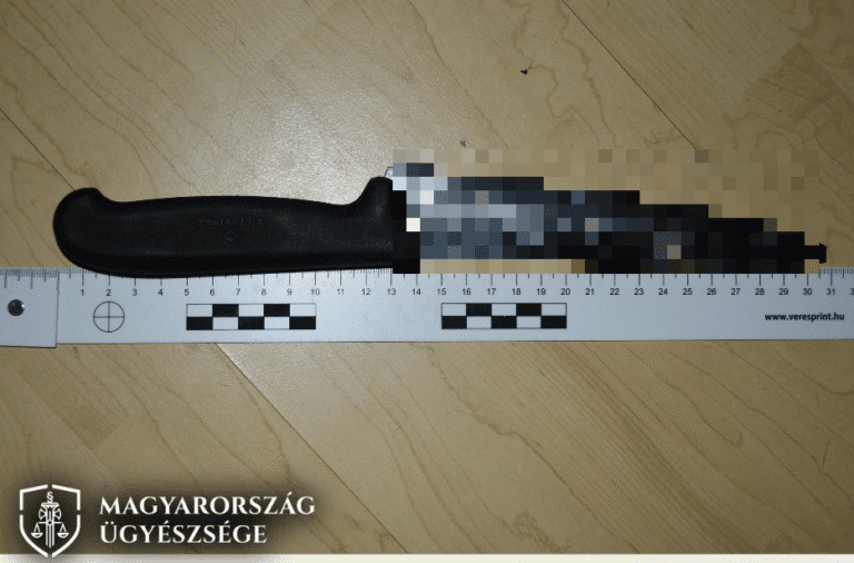 kés - az elkövetés eszköze