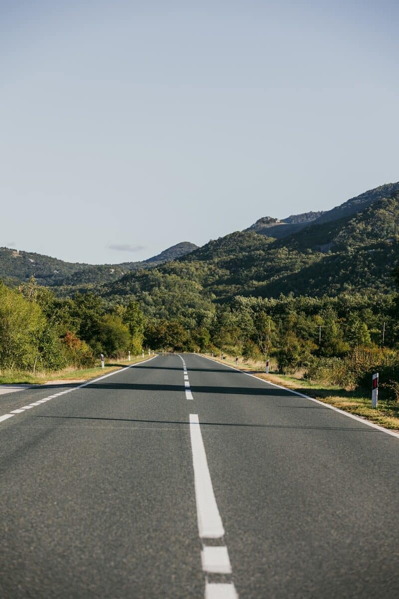 a road with trees on the side