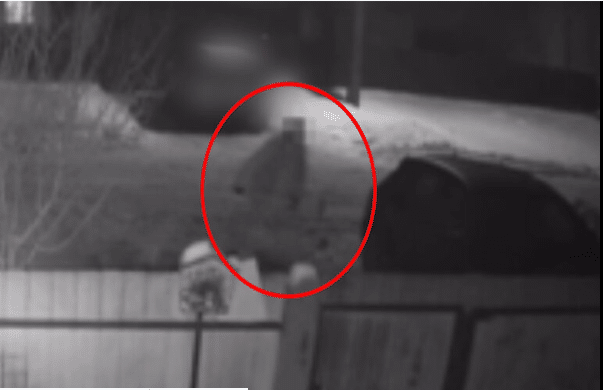 a zaklatóról készült kamerafelvétel