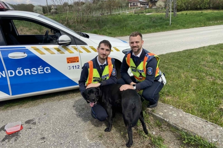 Luna, a legcukibb gyorshajtó