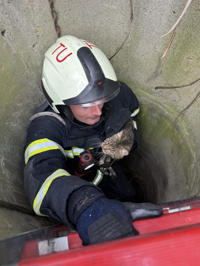 Tűzoltó mentette meg a kútba esett macskát Girincsen