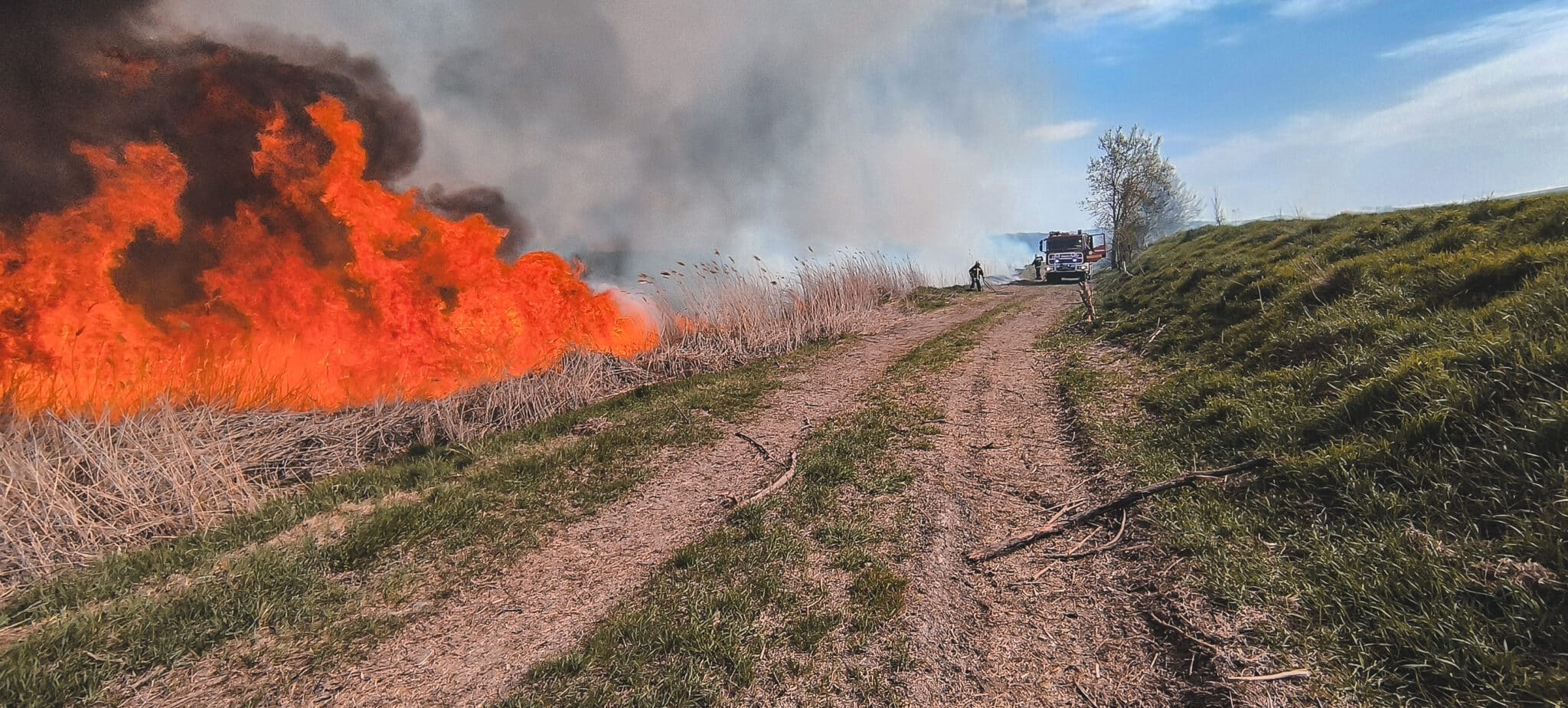 Nádas égett Tamásiban
