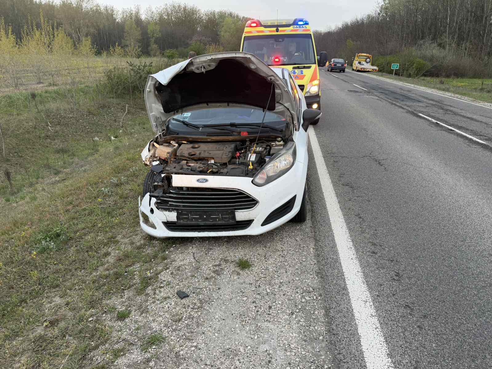 Szarvassal ütközött egy személygépkocsi a 405-ös főúton