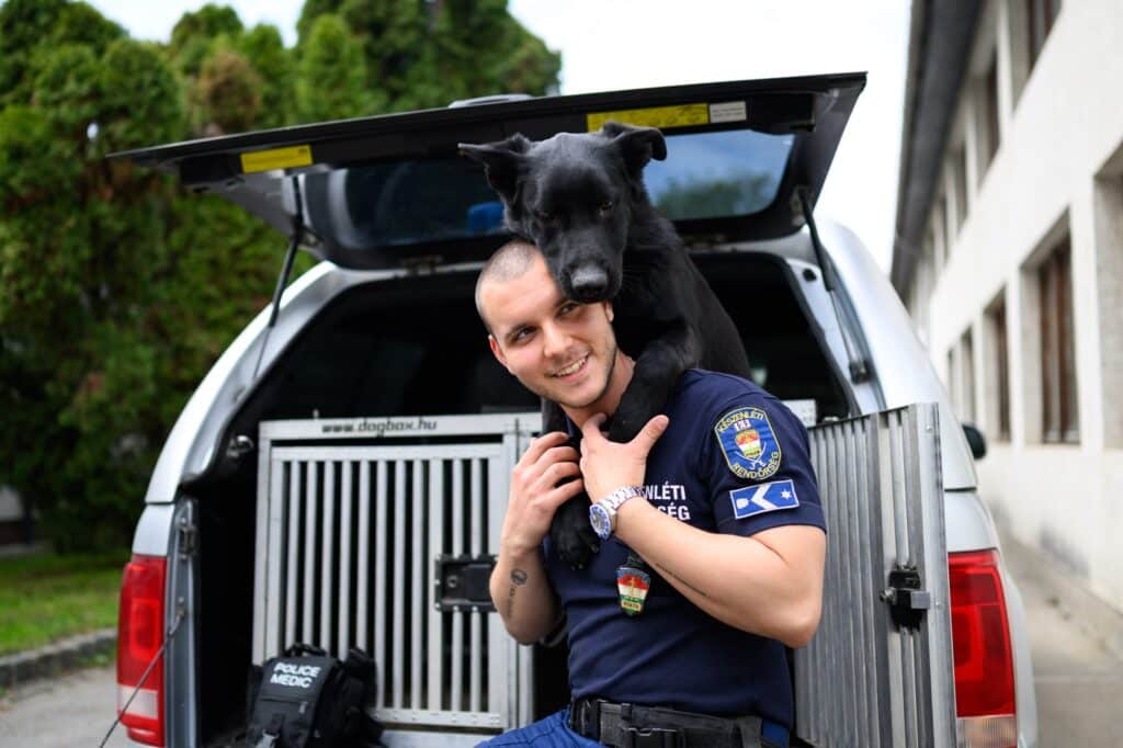 Autópályán mentett életet a szolgálaton kívüli rendőr