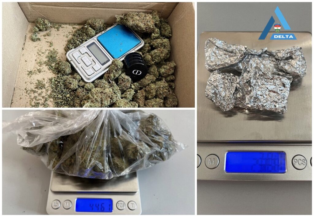 17 éves dílert fogtak el Mosonmagyaróváron