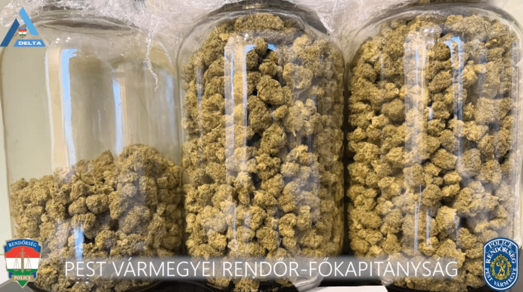 Öt kiló kábszi zárolva!