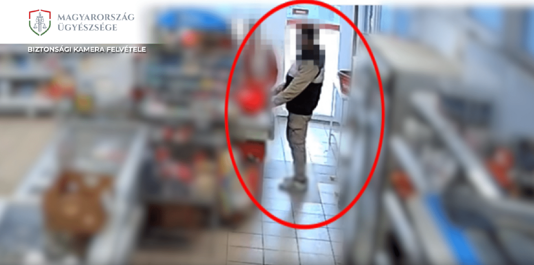 erdőtelki biztonsági kamerafelvétel