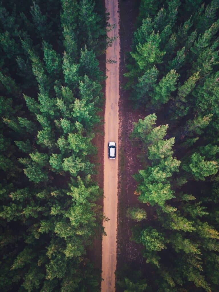 vehicle on road between trees
