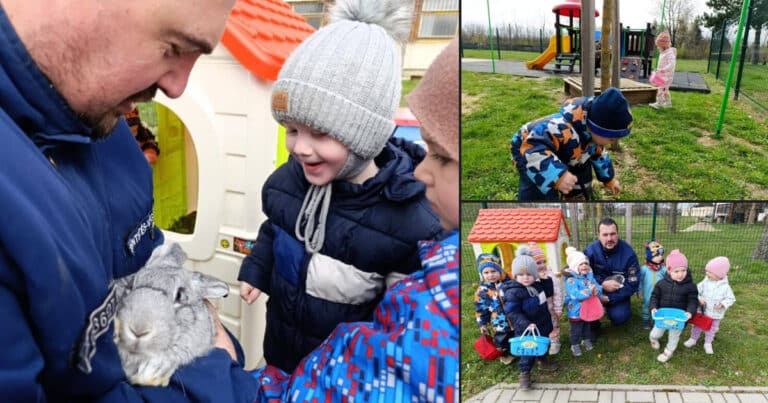 szombathelyi böri bölcsi