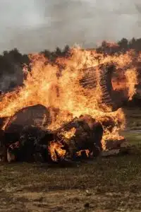 brown and black fire on green grass field