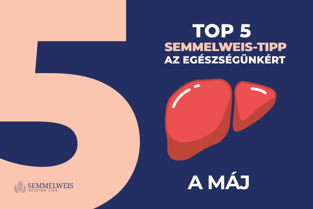 Öt tuti tipp a Semmelweis Egyetem szakértőitől a máj védelmében