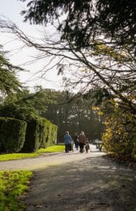 Family walking on a path in a park