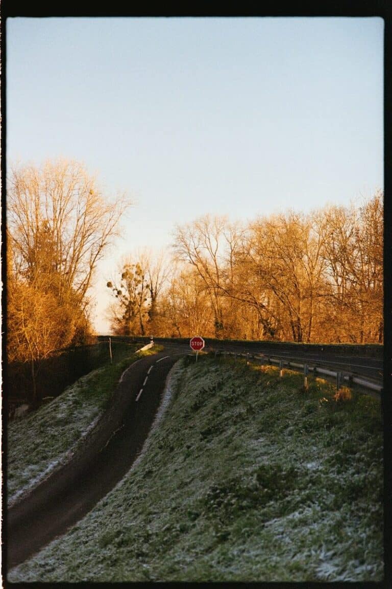 A winding road with a stop sign under golden trees.