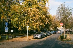 a street lined with parked cars next to trees