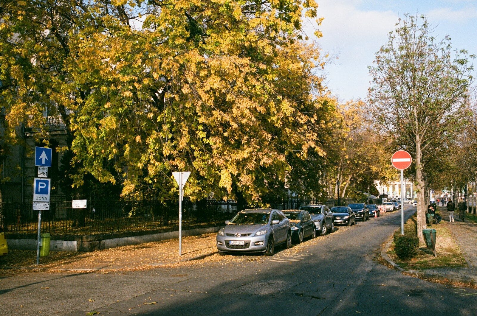 a street lined with parked cars next to trees