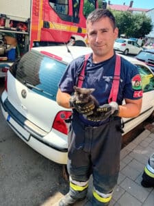 Bajba jutott kismacskát mentettek Szolnokon