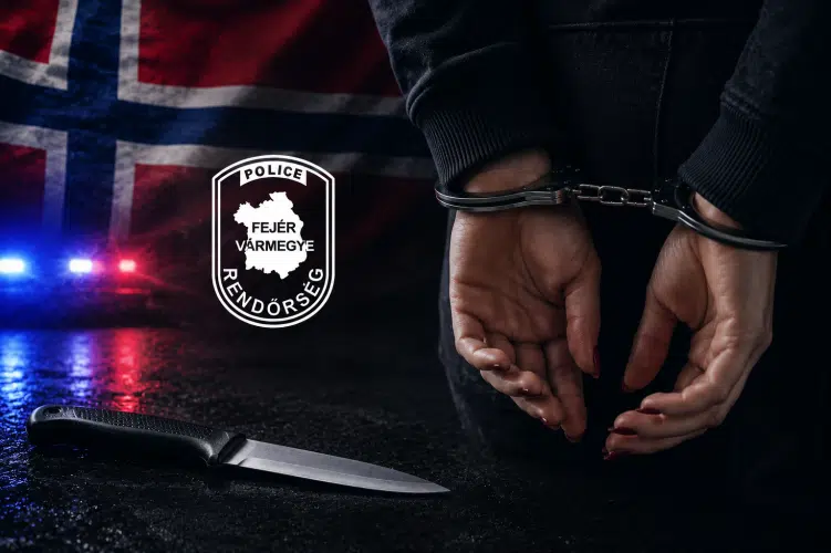 TOP 50-es körözöttet fogtak el Norvégiában
