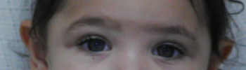 TÓTH RÁHEL