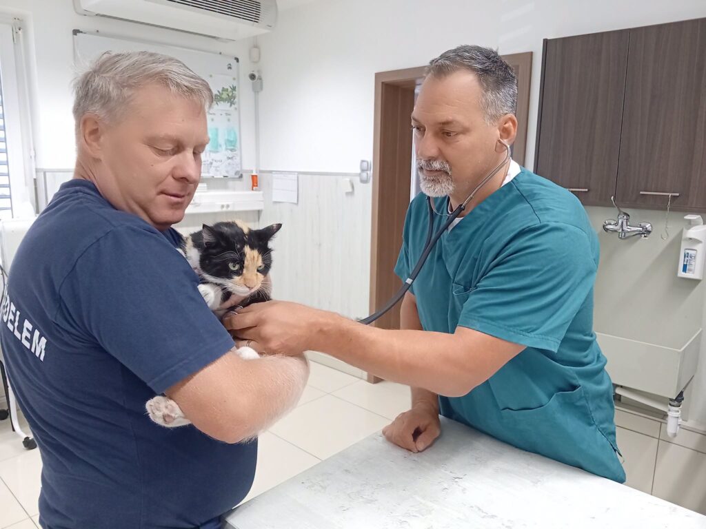 A legbátrabb páciens: állatorvosnál járt Delta, a hódmezővásárhelyi tűzoltócica!