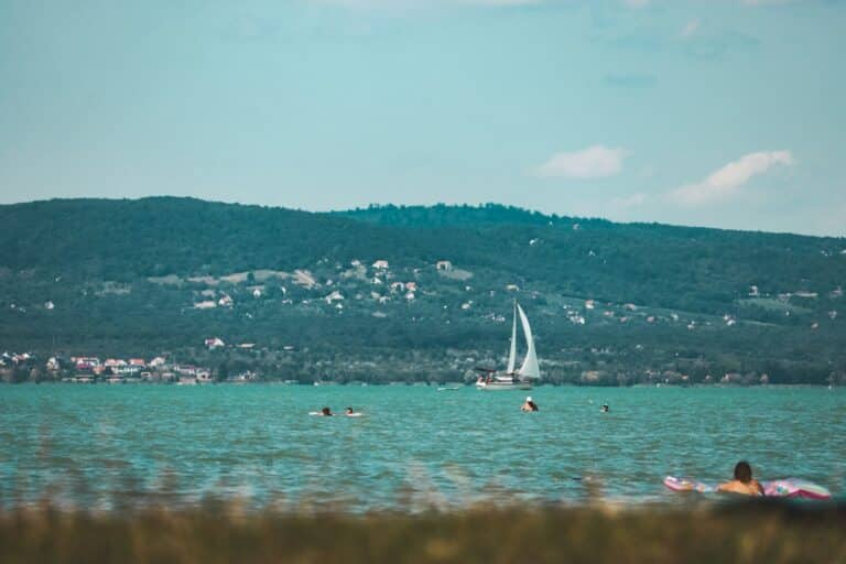 white sail boat on sea during daytime
