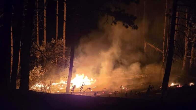 Óriási tűz pusztított a bugaci erdőrezervátumban 50-70 hektáron