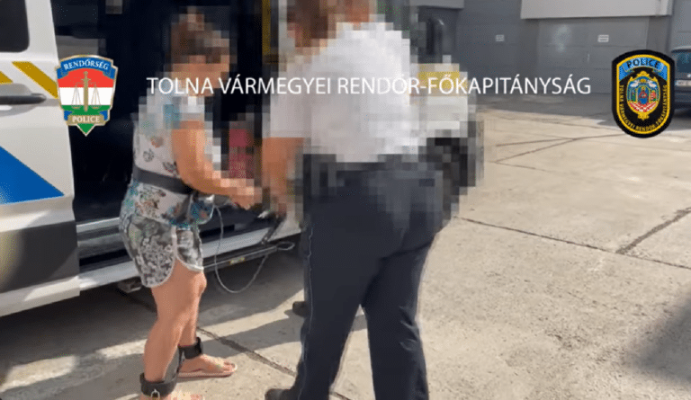 nagydorogi csecsemőgyilkosság elkövetője