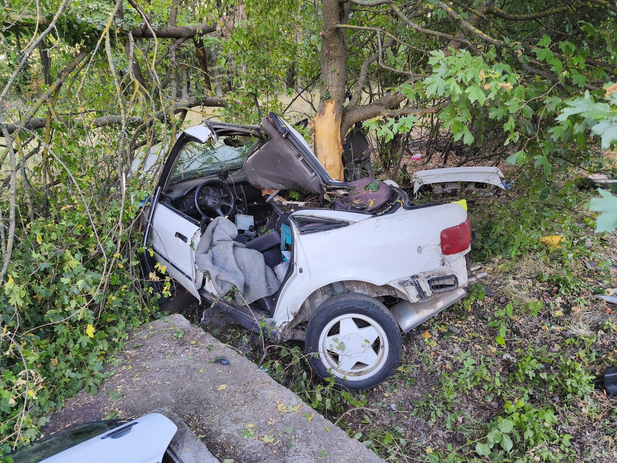 Fának ütközött egy autó a 66-os főúton Pécsnél