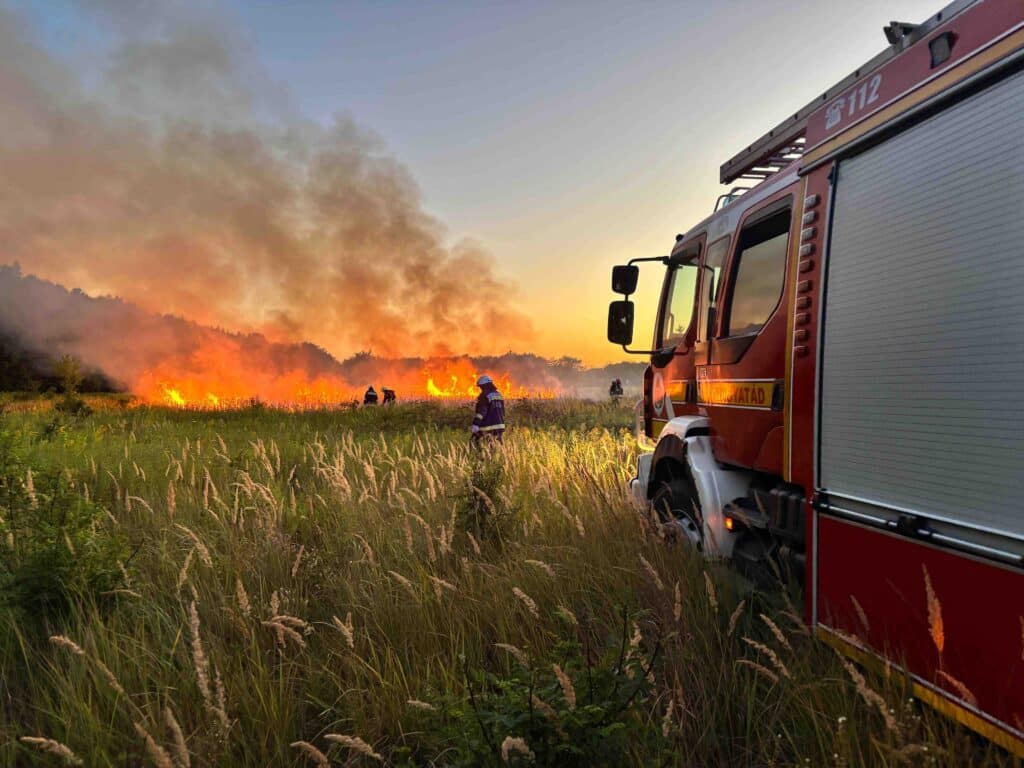 Meggyújtották a szemetet, veszélybe került az erdő