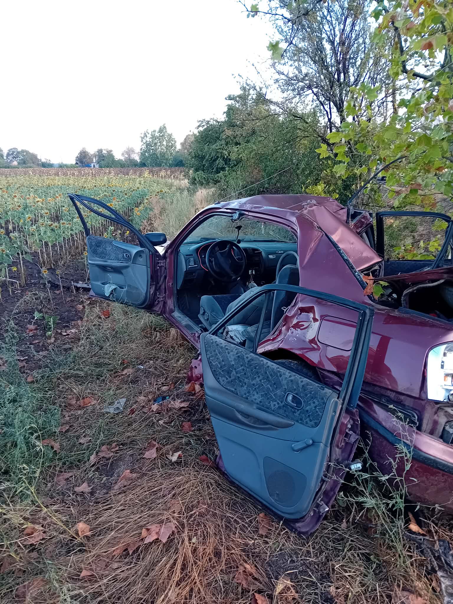 Fának csapódott egy autó a 442-es főúton Rákóczifalvánál