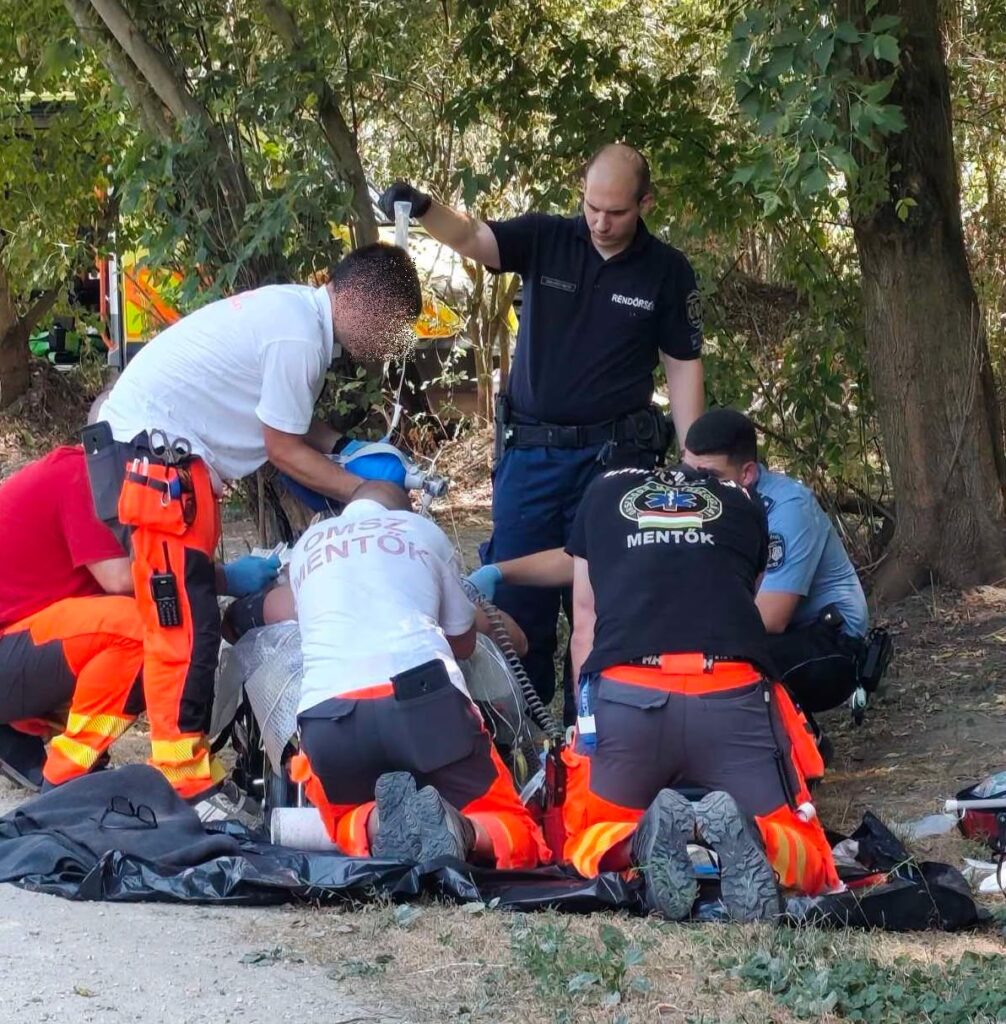 Eszméletlen eltűntet találtak meg az erdőben, életet mentettek a tatabányai rendőrök
