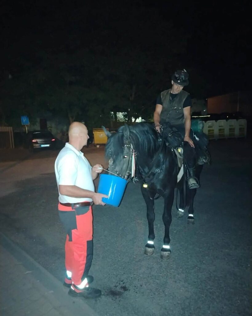Hajnali háromkor „csengetett be” egy szomjas ló a zsámbéki mentősökhöz