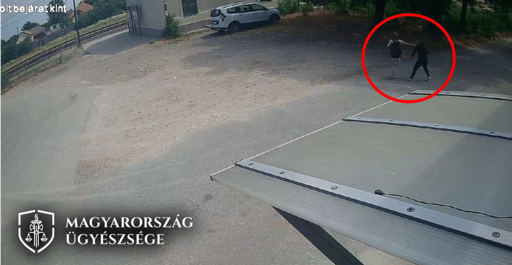 a sértett és a vádlott dulakodása